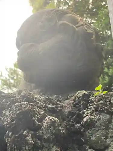 宮戸神社の狛犬