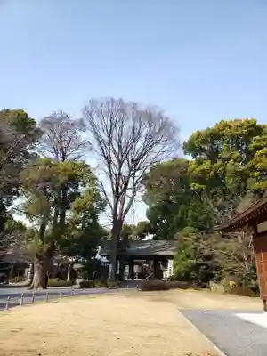 阿佐ヶ谷神明宮のその他建物