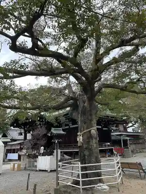 生根神社(大阪府)
