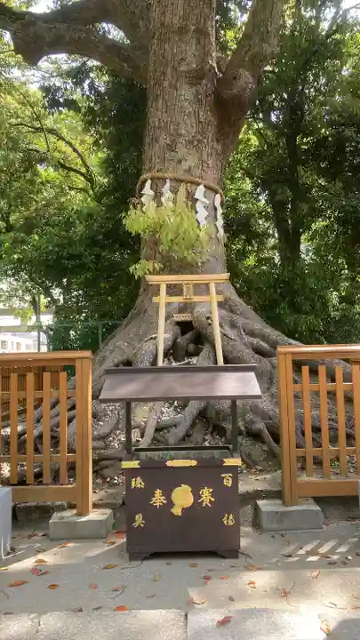 和泉國一之宮 大鳥大社の末社・摂社