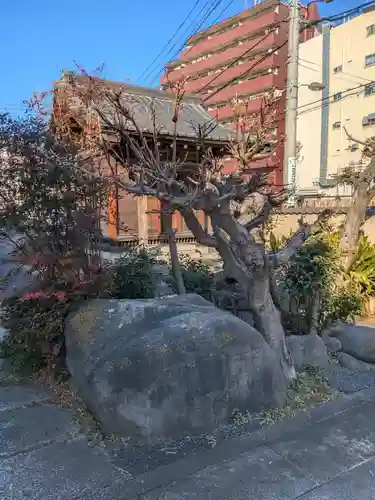 大雄山最乗寺東京別院(東京都)