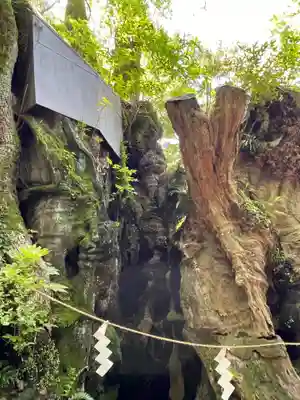 來宮神社(静岡県)