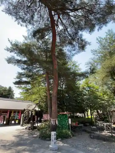 櫻木神社(千葉県)