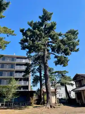 東伏見氷川神社の{uncategorized: "未分類", other: "その他", undefined: "問題あり", building: "その他建物", grave: "お墓", sacred_gate: "鳥居", guardian: "狛犬", statue: "像", buddha: "仏像", history: "歴史", nature: "自然", garden: "庭園", animal: "動物", pagoda: "塔", temizu: "手水舎", mountain_gate: "山門・神門", sanctuary: "本殿・本堂", subordinate: "末社・摂社", art: "芸術", scenery: "景色", jizo: "地蔵", ema: "絵馬", goshuin: "御朱印", omikuji: "おみくじ", items: "授与品その他", amulet: "お守り", goshuincho: "御朱印帳", eats: "食事", festival: "お祭り", votive_dance: "神楽", shichigosan: "七五三参", wedding: "結婚式", experience: "体験その他", initially: "初詣", around: "周辺", anti_infection: "感染症対策"}