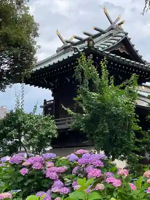 白山神社(東京都)