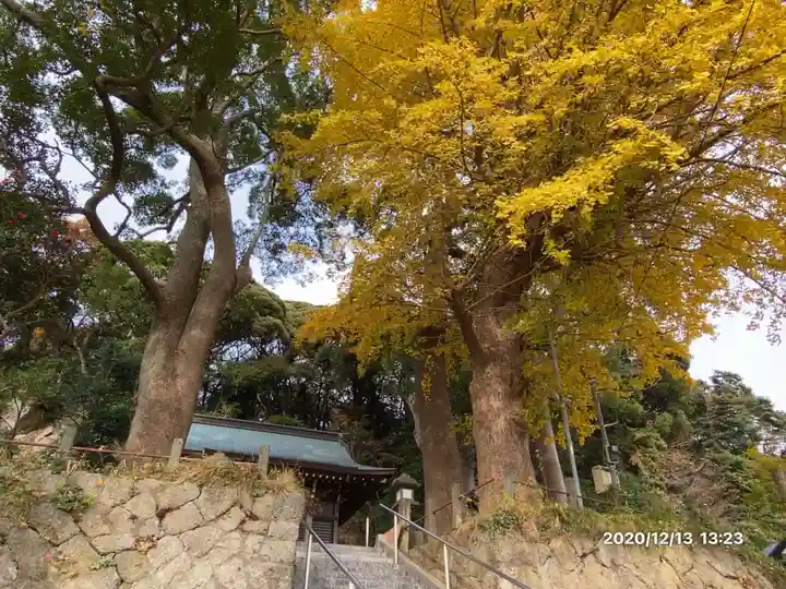 白岩神社の自然