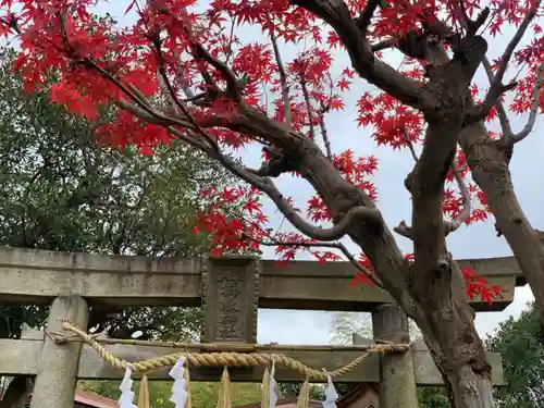 横浜御嶽神社の鳥居