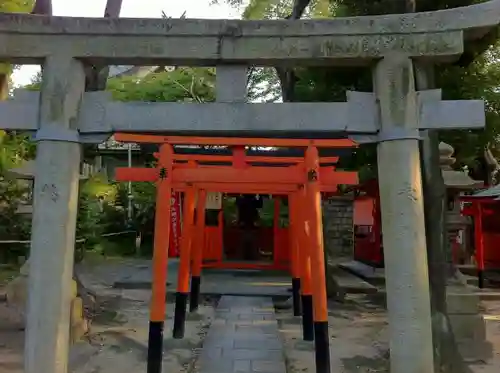 難波大社　生國魂神社の鳥居