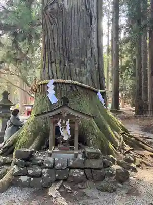 北口本宮冨士浅間神社(山梨県)