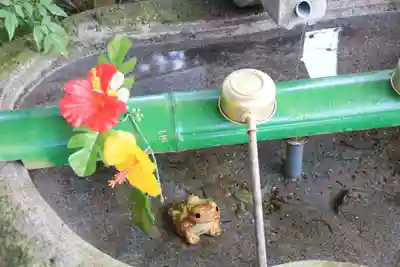 八雲神社の手水舎