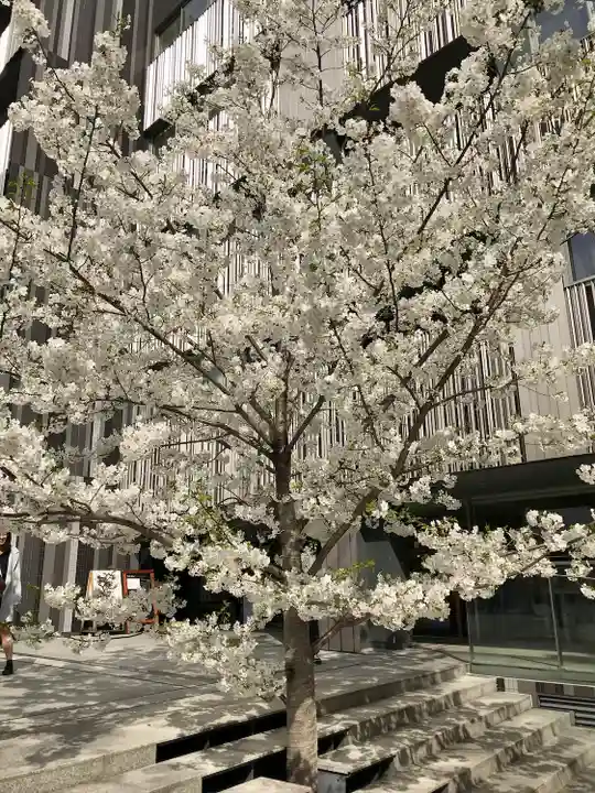 赤城神社(東京都)