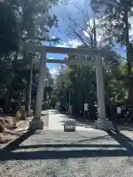諏訪八幡神社の{uncategorized: "未分類", other: "その他", undefined: "問題あり", building: "その他建物", grave: "お墓", sacred_gate: "鳥居", guardian: "狛犬", statue: "像", buddha: "仏像", history: "歴史", nature: "自然", garden: "庭園", animal: "動物", pagoda: "塔", temizu: "手水舎", mountain_gate: "山門・神門", sanctuary: "本殿・本堂", subordinate: "末社・摂社", art: "芸術", scenery: "景色", jizo: "地蔵", ema: "絵馬", goshuin: "御朱印", omikuji: "おみくじ", items: "授与品その他", amulet: "お守り", goshuincho: "御朱印帳", eats: "食事", festival: "お祭り", votive_dance: "神楽", shichigosan: "七五三参", wedding: "結婚式", experience: "体験その他", initially: "初詣", around: "周辺", anti_infection: "感染症対策"}