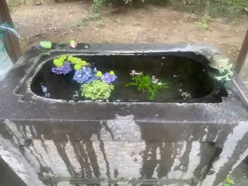 千代ケ岡八幡宮(栃木県)