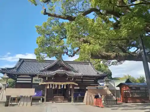 百舌鳥八幡宮(大阪府)