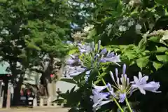 阿邪訶根神社の庭園