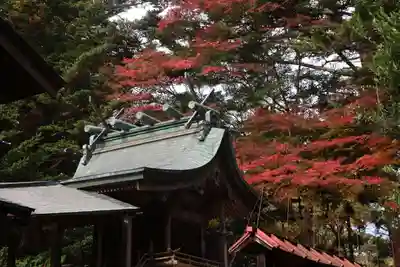 三春大神宮の本殿・本堂