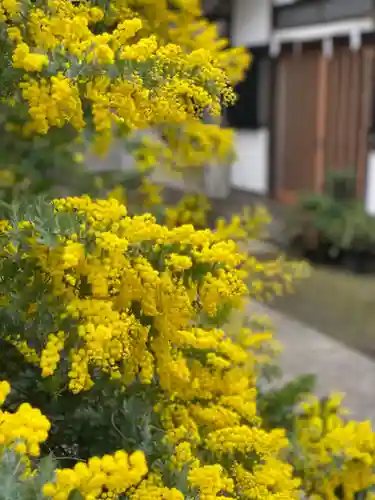 蔵前神社の自然