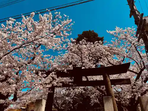 宇多須神社(石川県)
