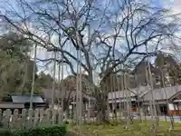 足羽神社の庭園