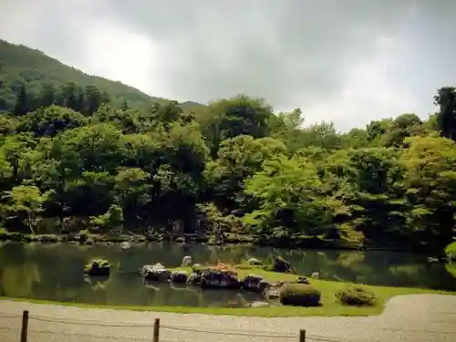 天龍寺の庭園