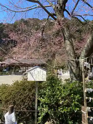 高麗神社のその他建物