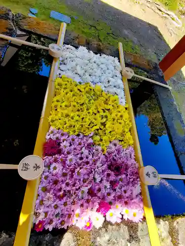 土津神社｜こどもと出世の神さまの手水