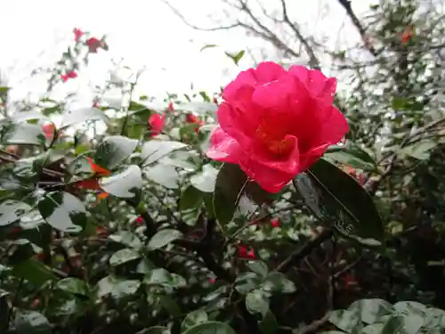 北野天満宮(京都府)