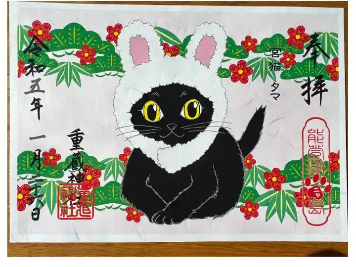 我が家にも黒猫をはじめ、病気や障害のある猫たちがいるので遠方から郵送対応して頂きました