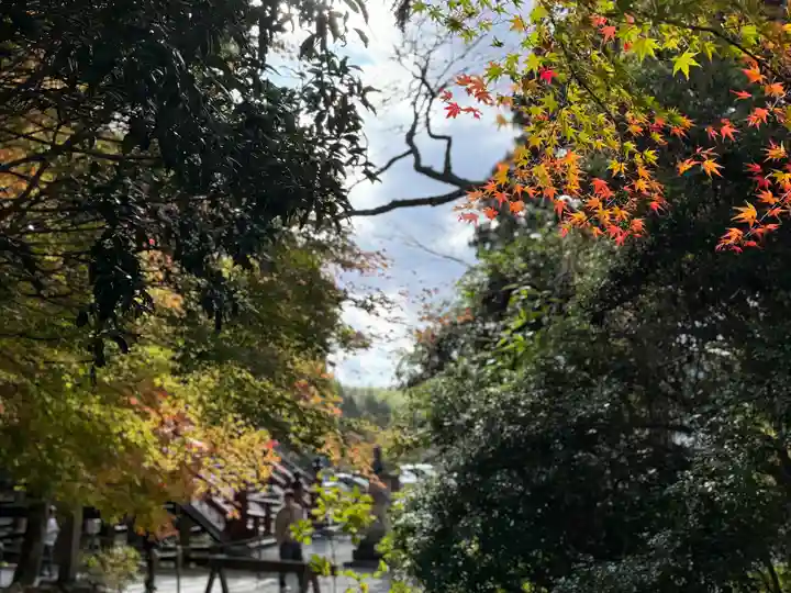 丹生都比売神社(和歌山県)