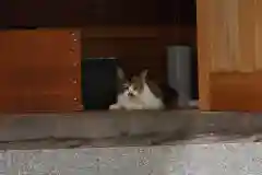 玉野御嶽神社の動物