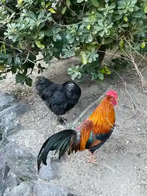 熱田神宮の{uncategorized: "未分類", other: "その他", undefined: "問題あり", building: "その他建物", grave: "お墓", sacred_gate: "鳥居", guardian: "狛犬", statue: "像", buddha: "仏像", history: "歴史", nature: "自然", garden: "庭園", animal: "動物", pagoda: "塔", temizu: "手水舎", mountain_gate: "山門・神門", sanctuary: "本殿・本堂", subordinate: "末社・摂社", art: "芸術", scenery: "景色", jizo: "地蔵", ema: "絵馬", goshuin: "御朱印", omikuji: "おみくじ", items: "授与品その他", amulet: "お守り", goshuincho: "御朱印帳", eats: "食事", festival: "お祭り", votive_dance: "神楽", shichigosan: "七五三参", wedding: "結婚式", experience: "体験その他", initially: "初詣", around: "周辺", anti_infection: "感染症対策"}