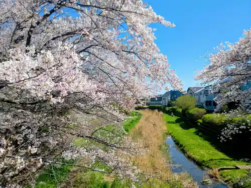 小金井神社(東京都)
