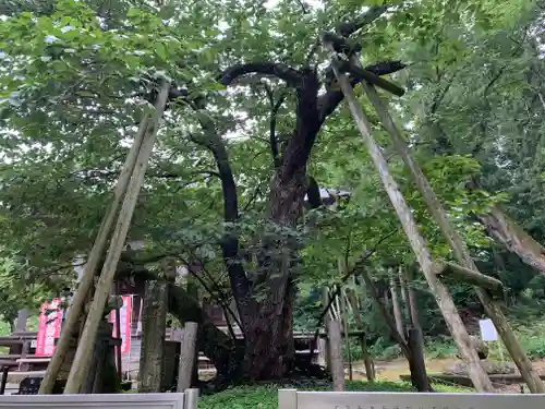 法用寺（雀林観音）の庭園