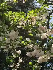 大船観音寺(神奈川県)