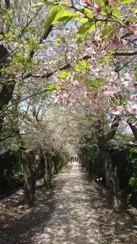 極楽寺（霊鷲山感應院極楽律寺）の自然