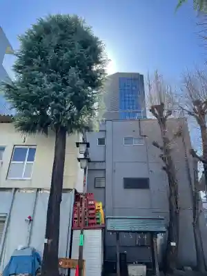 諏訪神社の{uncategorized: "未分類", other: "その他", undefined: "問題あり", building: "その他建物", grave: "お墓", sacred_gate: "鳥居", guardian: "狛犬", statue: "像", buddha: "仏像", history: "歴史", nature: "自然", garden: "庭園", animal: "動物", pagoda: "塔", temizu: "手水舎", mountain_gate: "山門・神門", sanctuary: "本殿・本堂", subordinate: "末社・摂社", art: "芸術", scenery: "景色", jizo: "地蔵", ema: "絵馬", goshuin: "御朱印", omikuji: "おみくじ", items: "授与品その他", amulet: "お守り", goshuincho: "御朱印帳", eats: "食事", festival: "お祭り", votive_dance: "神楽", shichigosan: "七五三参", wedding: "結婚式", experience: "体験その他", initially: "初詣", around: "周辺", anti_infection: "感染症対策"}