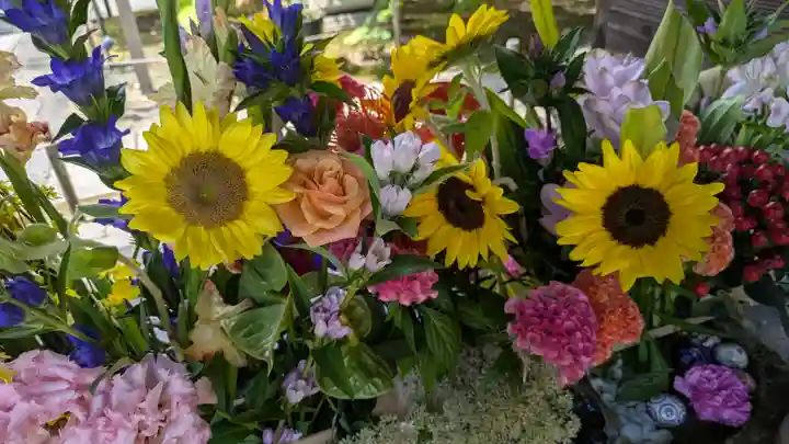 勝林寺(京都府)