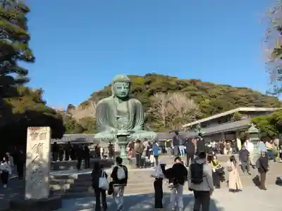 高徳院(神奈川県)