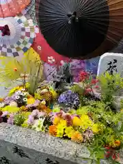 札幌諏訪神社の手水