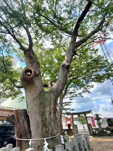 阿邪訶根神社(福島県)