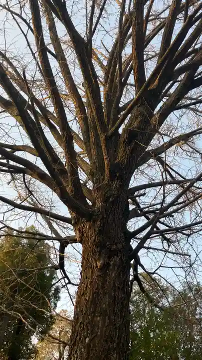 田無神社(東京都)