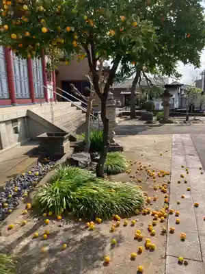 延命寺(群馬県)