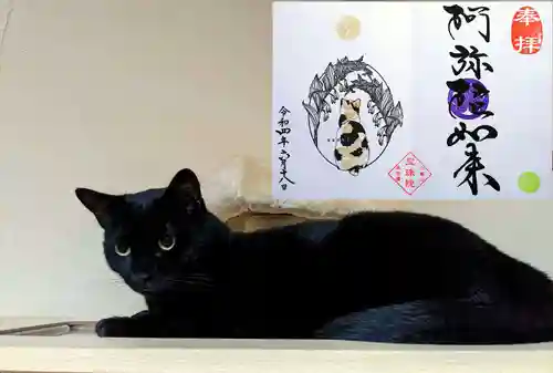 増上寺塔頭 三縁山 宝珠院の動物