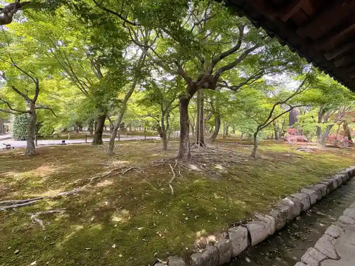 東福禅寺(東福寺)(京都府)