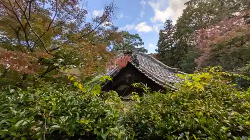 十輪寺(京都府)