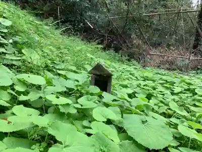 八幡神社の自然