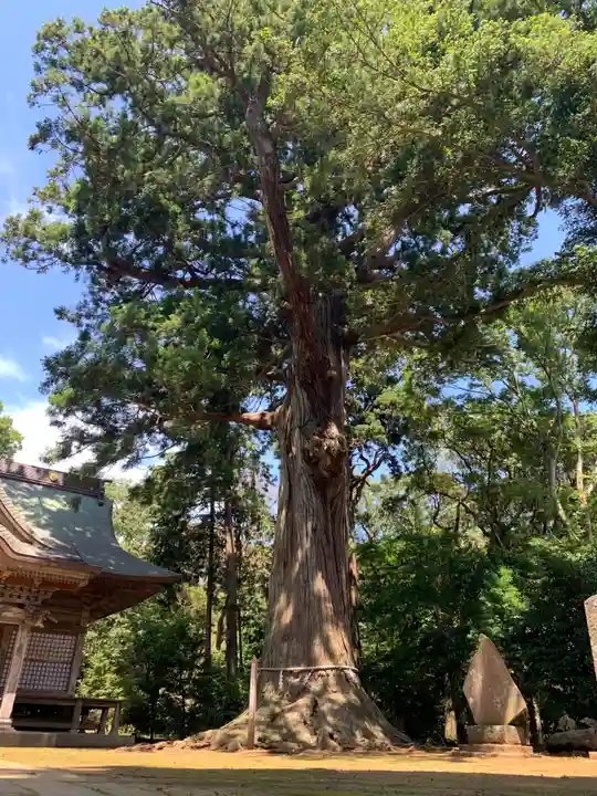 松山神社(千葉県)
