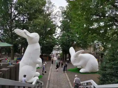 北澤八幡神社の狛犬