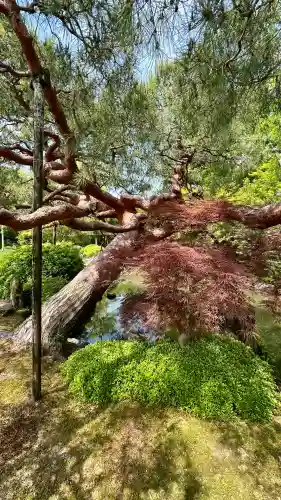 城南宮(京都府)