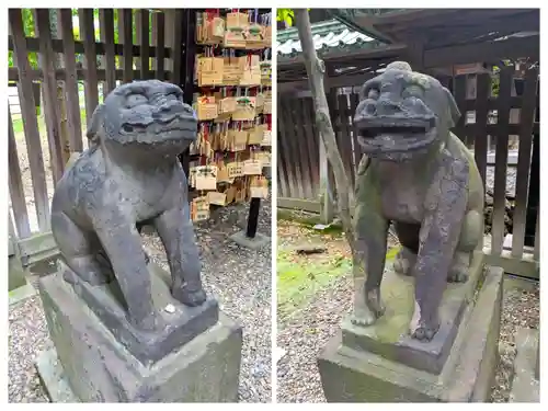 牛嶋神社の狛犬